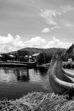 dsc09800b