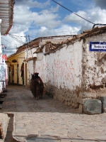 Cusco - Peru